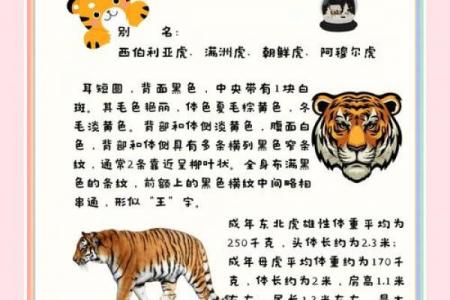 虎一生中最大的恩人是谁
