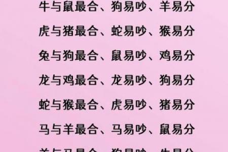 属兔者最佳生意搭档