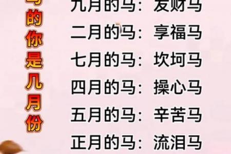 2026年属马人桃花运解析