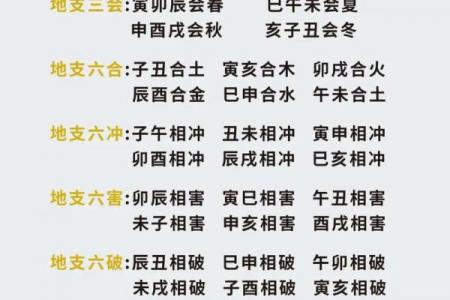 十二地支申金精要解析