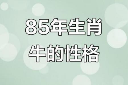 1985年12月属牛人的运势