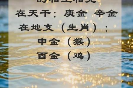 金鸡命是苦命还是富命