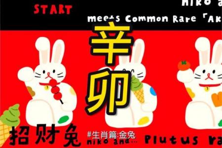 金兔命属何等命格