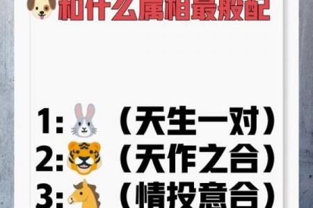 属狗人二婚才是正缘吗，属狗二婚好还是头婚好实战教程