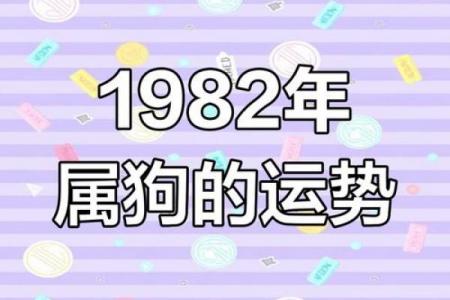 82年属狗女性2026年喜事预兆