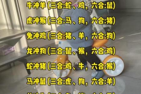 属鼠者事业中与何相冲
