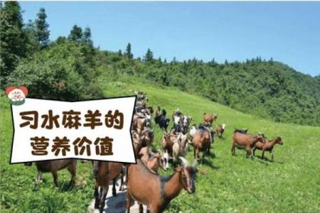 土羊命适宜从事的生意类型