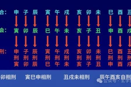 地支合化深度解析