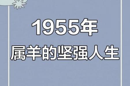 属羊人更适合打工还是创业