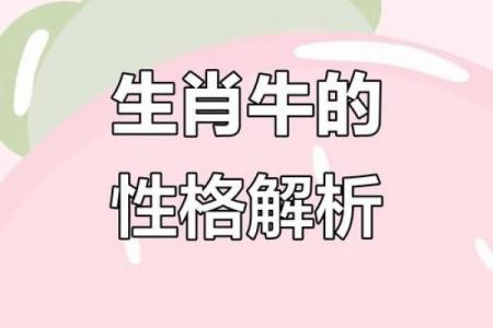 2009年出生属牛的男孩命运如何