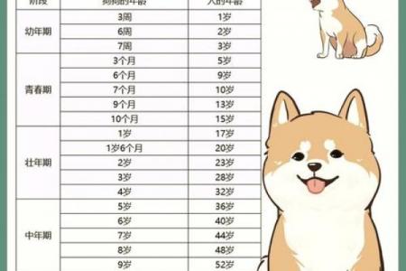 2026马年对属狗人的运势影响