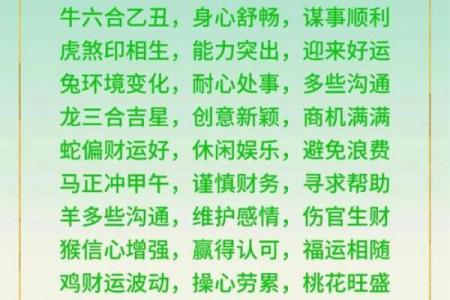2026年属龙者需避开的生肖是谁