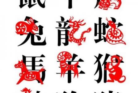 生肖鸡最苦的年龄段