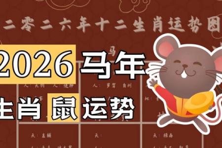 2026年属鼠人能否翻身