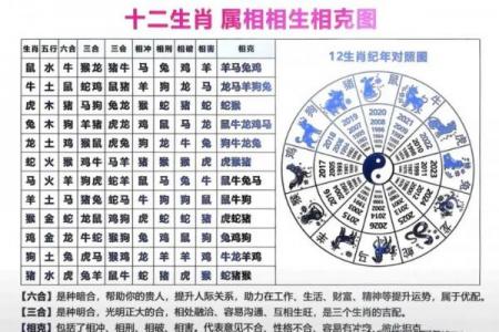 属鼠者可克制何类人