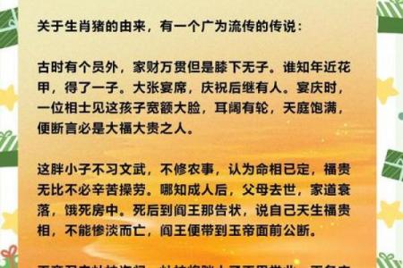 属猪者2026年学业运势如何