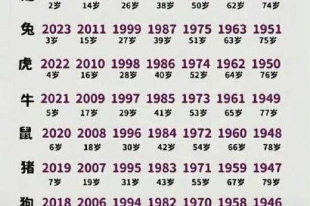 2026马年对属羊人的运势影响