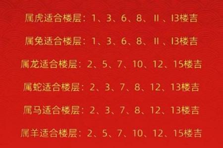兔人最旺的三个楼层