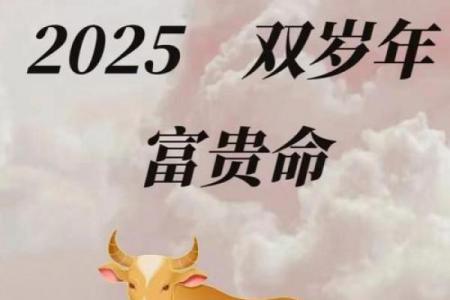 属牛者终生财运如何