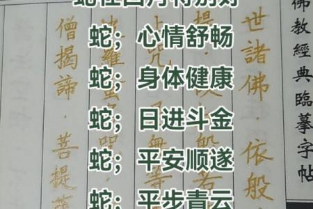 属蛇2026添喜事要注意什么：从入门到精通