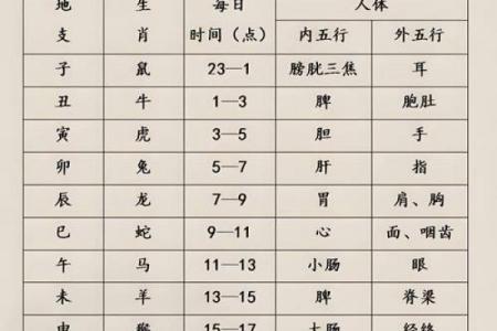 八字十二地支合化详解
