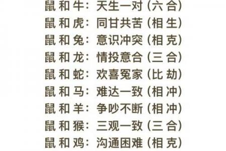鼠与何属相婚配最旺运