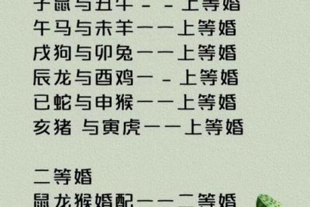 属鼠人2026年姻缘解析