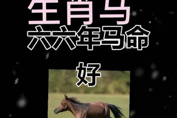 2026年主动追求生肖马女性的是哪个属相