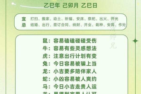2026马年对属鼠人运势影响解析