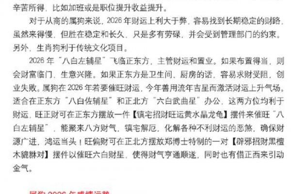 属狗人2026年创业适宜性与马年事业运势分析