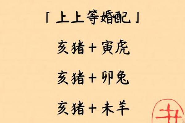 属猪人最佳婚配生肖是哪个
