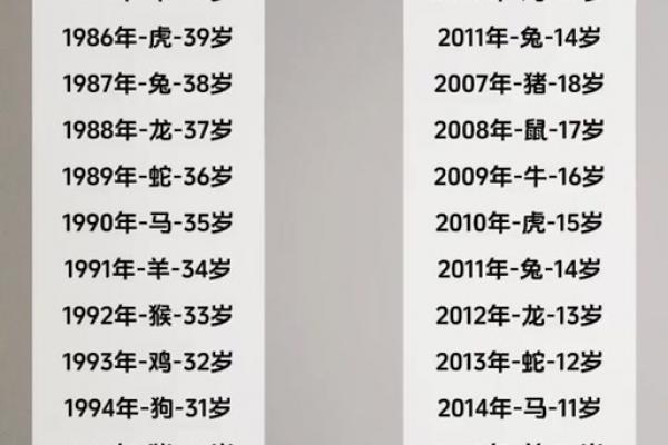 属鼠者离婚年份预测