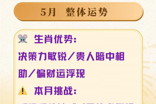 属鼠者离婚年份预测