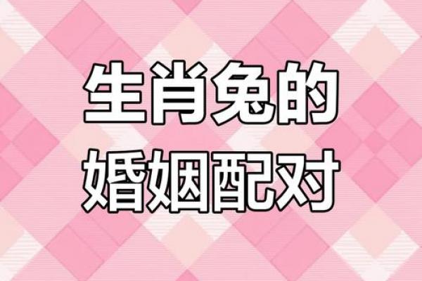属兔者二婚能否白头偕老，二婚属兔人的最终结局如何