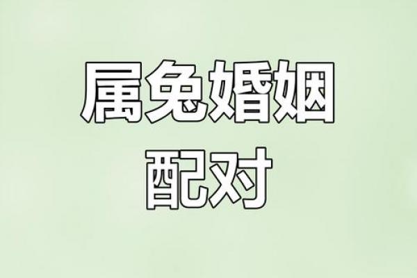 属兔者二婚能否白头偕老，二婚属兔人的最终结局如何
