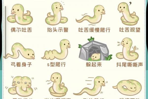 蛇女最嫌弃哪个生肖男：从入门到精通