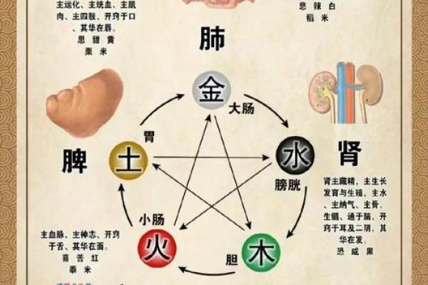 水蛇命与炉中火是否相克