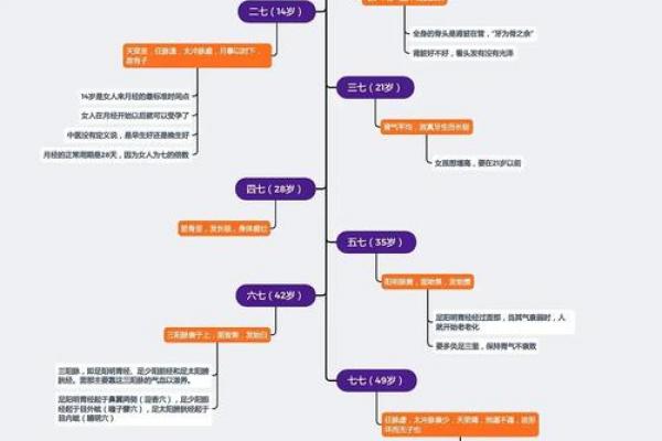 屋上土命女性终身运程解析