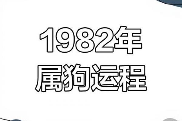 1982年出生属狗者今年运势解析