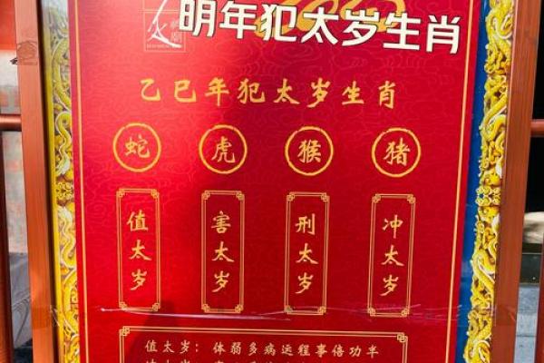 猪年犯太岁佩戴什么最适宜