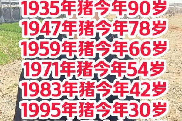 2026年属猪者生日注意事项