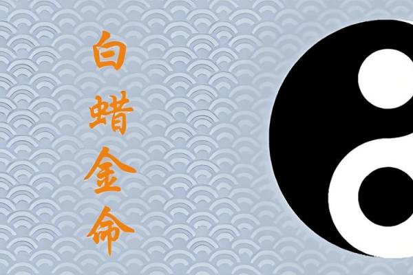 白蜡金命男孩最忌讳什么