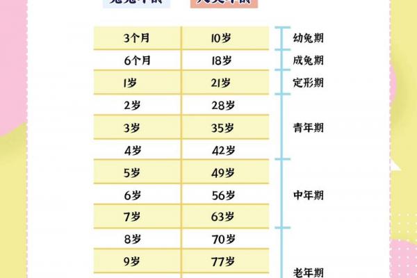 属兔者运势巅峰的年龄段