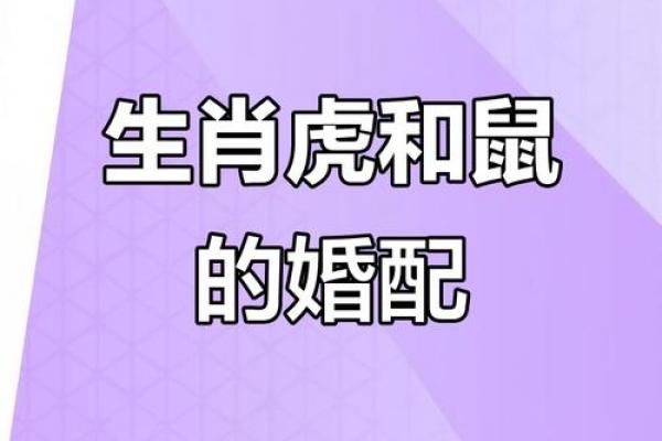 2026属鼠婚姻是否遇第三者及整体走向