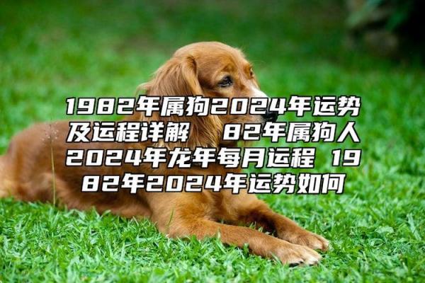 2026年属狗者1982年出生全年运势详解