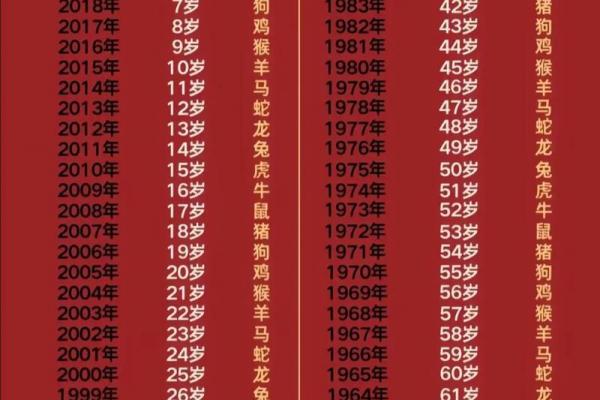 88年龙男命中配偶数量探析