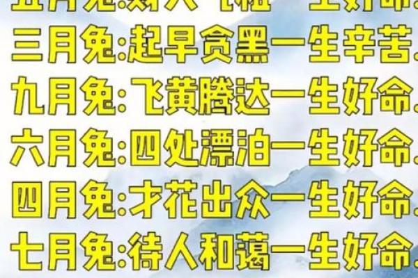 属兔人最重视的人是谁