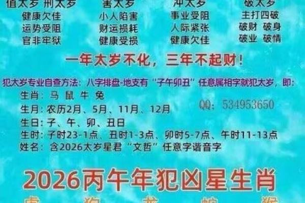 属虎者2026年是否逢大孝
