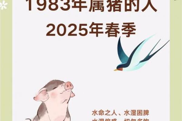 2026年属猪人的三大喜事
