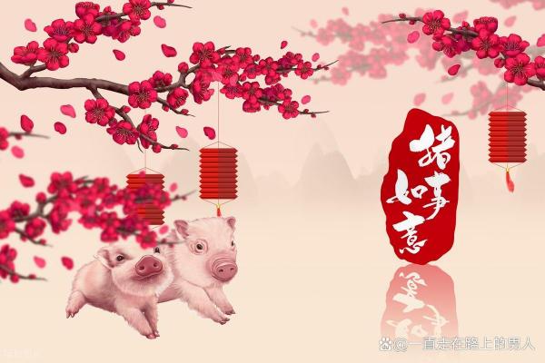 属猪者2026年需警惕哪些事项
